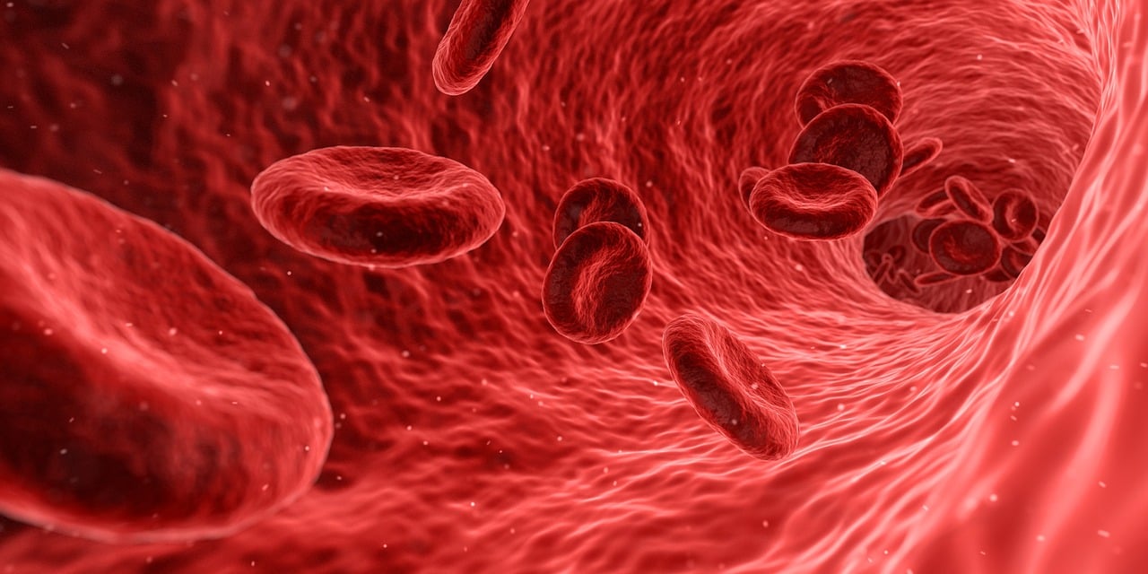 BLUT AUFBAUEN – SÄFTE NÄHREN
